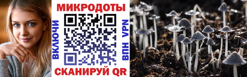 Галлюциногенные грибы Psilocybe  blacksprut как войти  Нерчинск 
